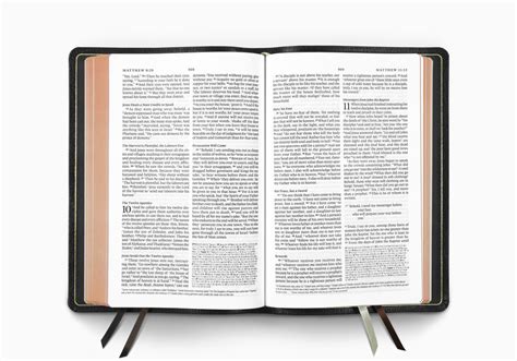 ESV Omega Thinline Reference Bible (Goatskin, Black)